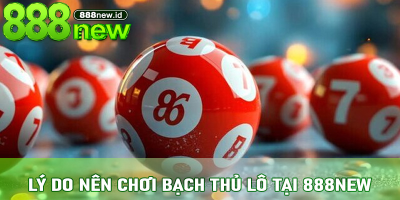 Lý Do Nên Chơi Bạch Thủ Lô Tại 888new