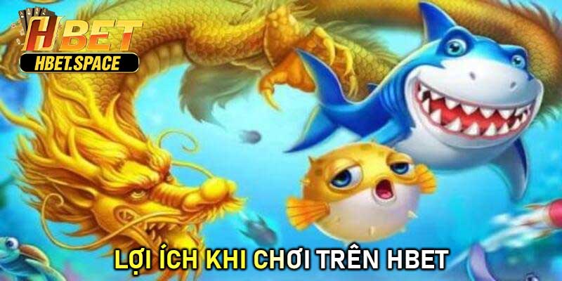 Lợi Ích Khi Chơi Trên HBET