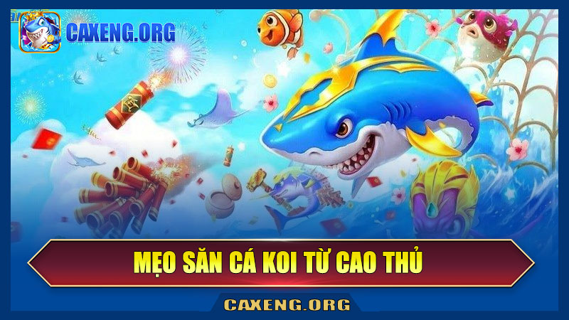 Mẹo săn cá Koi từ cao thủ